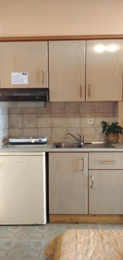 Xenia Palace Luxury Apartments Vrasná Kültér fotó